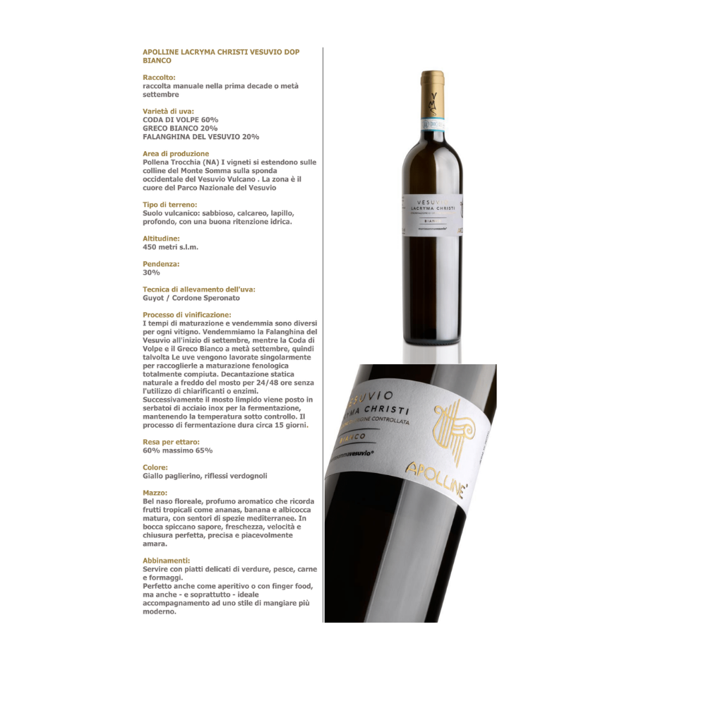 Apolline Lacryma Cristi del Vesuvio White DOP 0.75 Lt Vesuvio Street Food