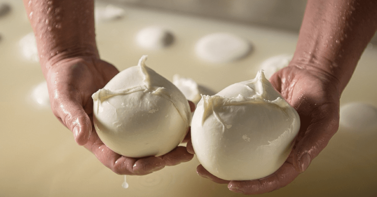 Buffalo Mozzarella from Campania: Why It's Worth Buying Directly from Italy - Vesuvio Street Food
