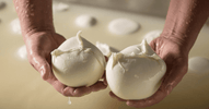 Buffalo Mozzarella from Campania: Why It's Worth Buying Directly from Italy - Vesuvio Street Food