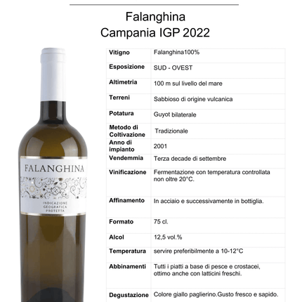 Falanghina DOC Campania 2024 750 ml – Fresh Aromatic Italian White Wine - Vino - Vesuvio Street Food
