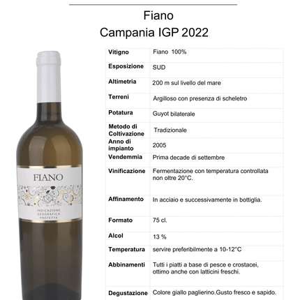 Fiano di Avellino 2024 750 ml – Elegant Mineral Italian White Wine - Vino - Vesuvio Street Food