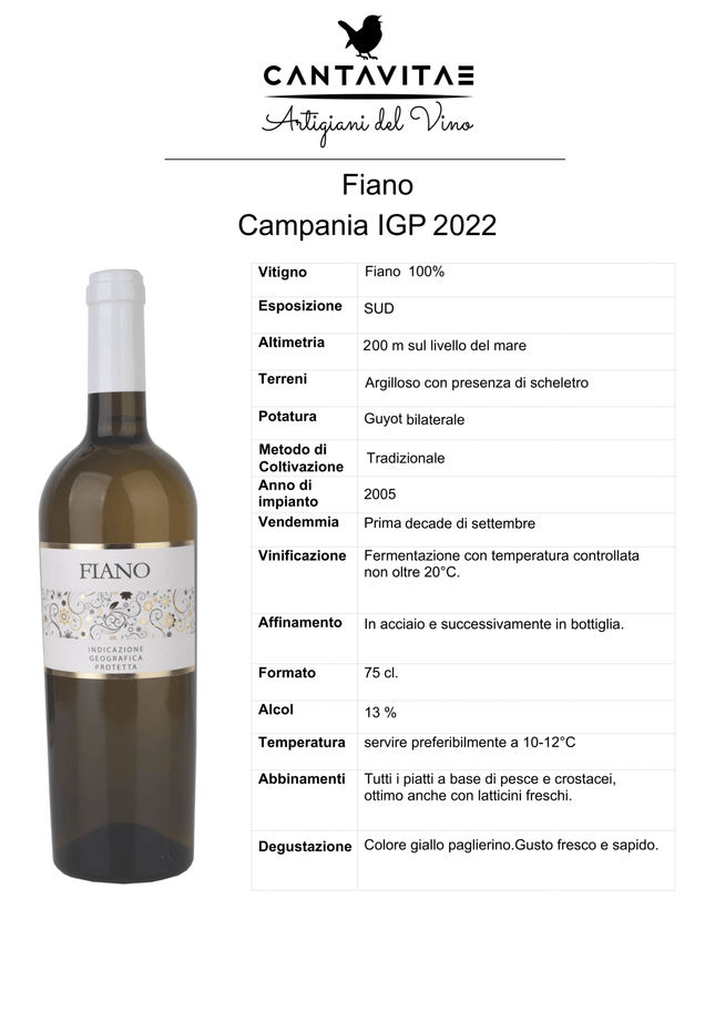 Fiano di Avellino 2024 750 ml – Elegant Mineral Italian White Wine - Vino - Vesuvio Street Food