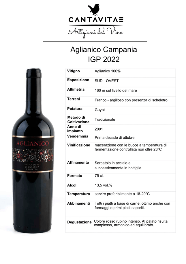 Aglianico IGP Campania 2024 750 ml – Full-Bodied Structured Italian Red Wine from Southern Italy - Vino - Vesuvio Street Food