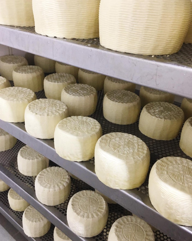 Formaggi dell'Irpinia