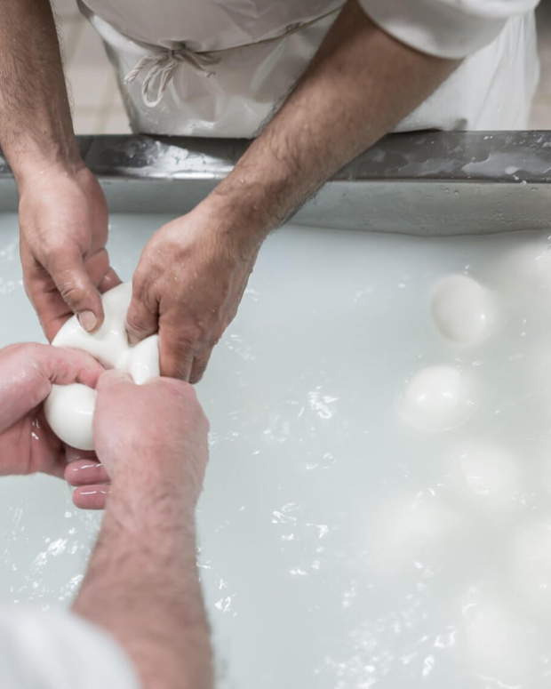 Banner image for: <h1>Mozzarella</h1>