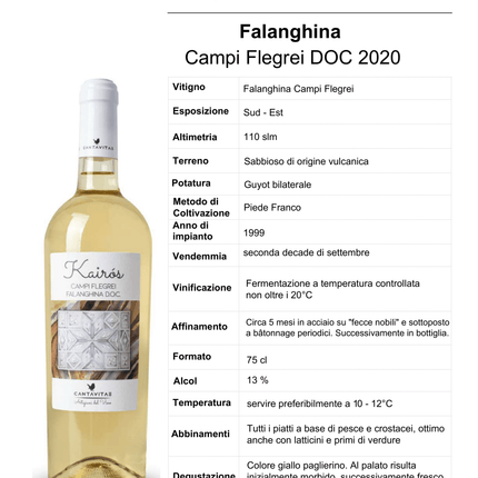 Falanghina Campi Flegrei DOC 2024 750 ml – Volcanic Fresh White Wine from Naples - Vino - Vesuvio Street Food