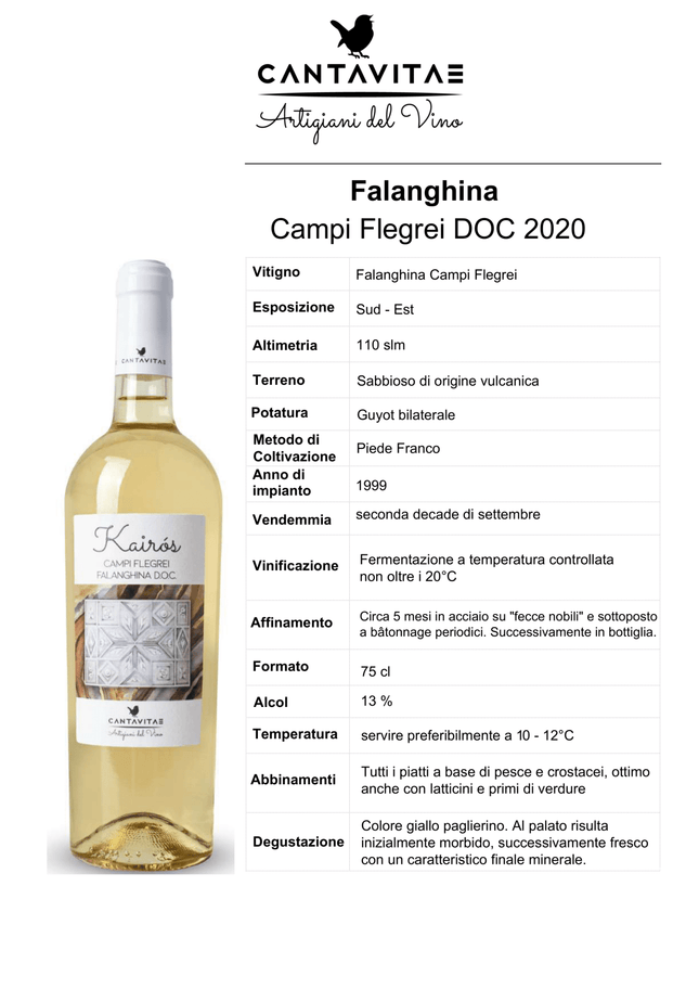 Falanghina Campi Flegrei DOC 2024 750 ml – Volcanic Fresh White Wine from Naples - Vino - Vesuvio Street Food