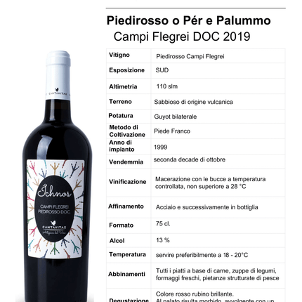 Piedirosso Campi Flegrei DOC 2024 750 ml – Light Elegant Red Wine from Naples Area - Vino - Vesuvio Street Food