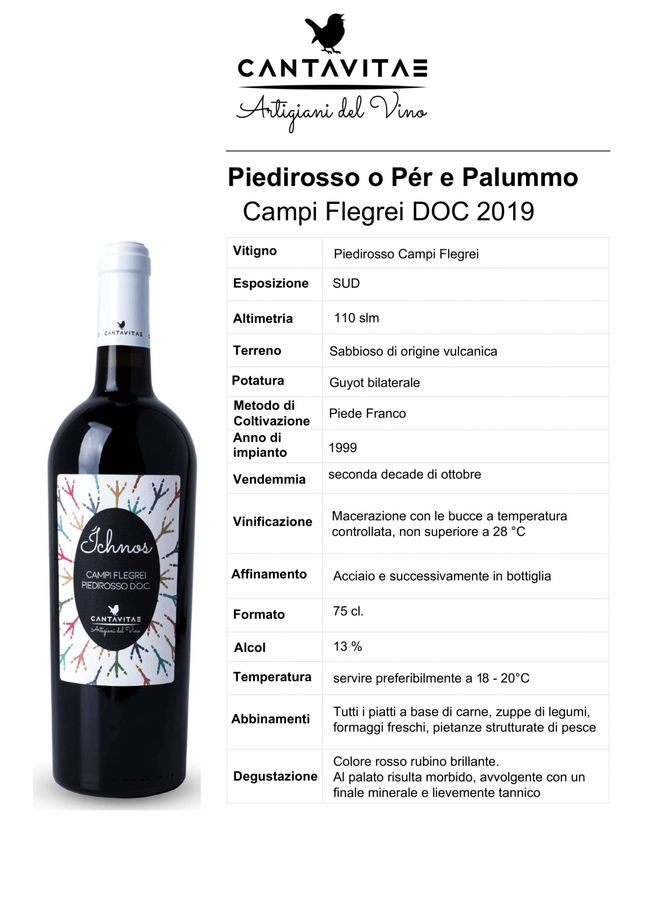Piedirosso Campi Flegrei DOC 2024 750 ml – Light Elegant Red Wine from Naples Area - Vino - Vesuvio Street Food