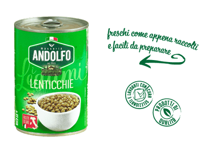 Lentils in can – 400 gr. - Legumi - Vesuvio Street Food