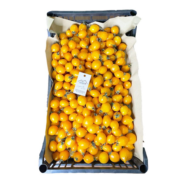 Piennolo del Vesuvio tomatoes yellow loose D.O.P. - 1 kg