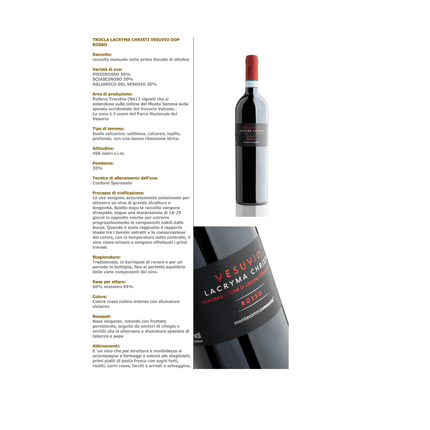 Lacryma Christi del Vesuvio Rosso DOP 2024 750 ml – Volcanic Structured Italian Red Wine - Vino - Vesuvio Street Food