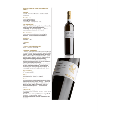 Lacryma Christi del Vesuvio Bianco DOP 2024 750 ml – Volcanic Elegant Italian White Wine - Vino - Vesuvio Street Food