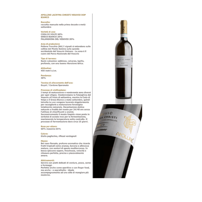 Lacryma Christi del Vesuvio Bianco DOP 2024 750 ml – Volcanic Elegant Italian White Wine - Vino - Vesuvio Street Food