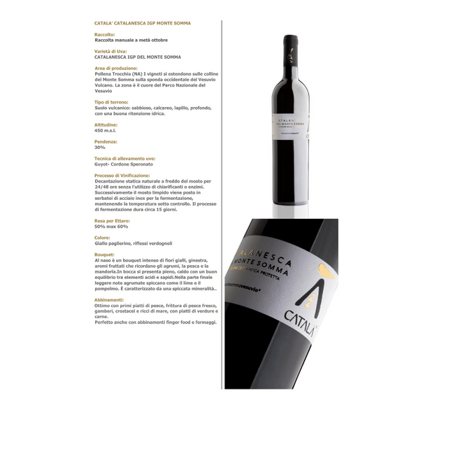 Català 2024 750 ml – Fresh Elegant Italian Wine from Southern Tradition - Vino - Vesuvio Street Food