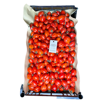 Piennolo del Vesuvio DOP cherry tomatoes – 1 kg. - Pomodoro - Vesuvio Street Food